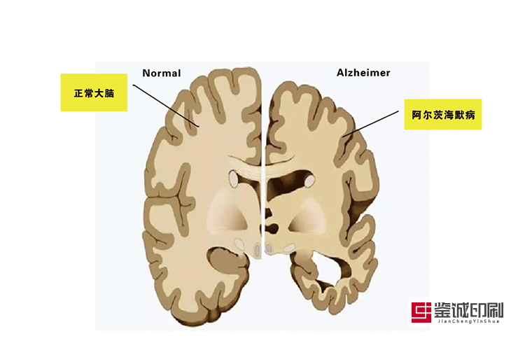 宣傳手冊(cè)印刷